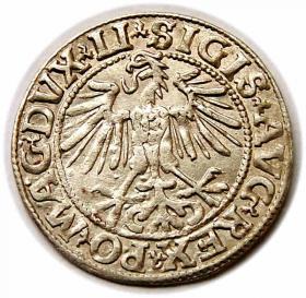 Obrazek 2 dla: Półgrosz 1549 Zygmunt II August Wilno