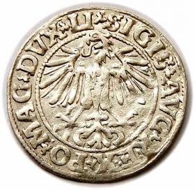 Obrazek 2 dla: Półgrosz 1549 Zygmunt II August Wilno