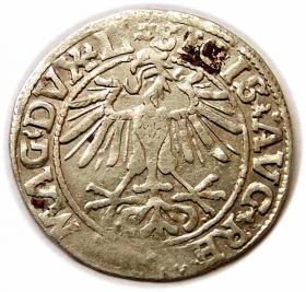 Obrazek 2 dla: Półgrosz 1550 Zygmunt II August Wilno