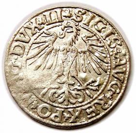 Obrazek 2 dla: Półgrosz 1550 Zygmunt II August Wilno