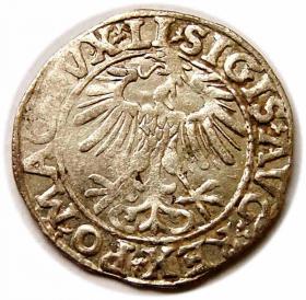 Obrazek 2 dla: Półgrosz 1557 Zygmunt II August Wilno