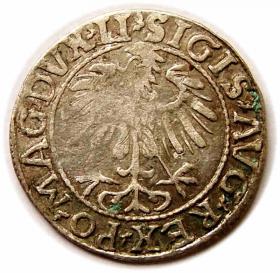 Obrazek 2 dla: Półgrosz 1557 Zygmunt II August Wilno