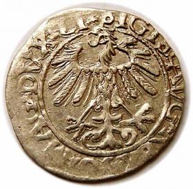 Obrazek 2 dla: Półgrosz 1558 Zygmunt II August Wilno