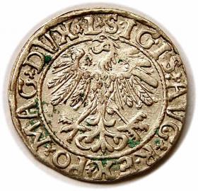 Obrazek 2 dla: Półgrosz 1558 Zygmunt II August Wilno