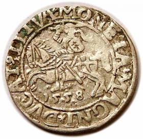 Obrazek dla: Półgrosz 1558 Zygmunt II August Wilno
