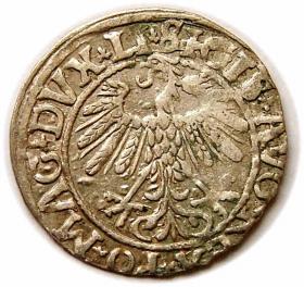 Obrazek 2 dla: Półgrosz 1558 Zygmunt II August Wilno