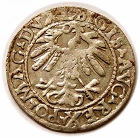 Obrazek 2 dla: Półgrosz 1559 Zygmunt II August Wilno