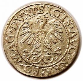 Obrazek 2 dla: Półgrosz 1560 Zygmunt II August Wilno