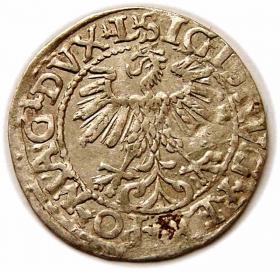 Obrazek 2 dla: Półgrosz 1560 Zygmunt II August Wilno