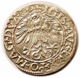 Obrazek 2 dla: Półgrosz 1561 Zygmunt II August Wilno