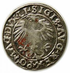 Obrazek 2 dla: Półgrosz 1556 Zygmunt II August Wilno