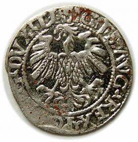Obrazek 2 dla: Półgrosz 1559 Zygmunt II August Wilno