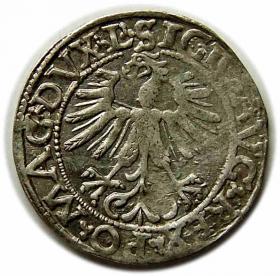 Obrazek 2 dla: Półgrosz 1562 Zygmunt II August Wilno