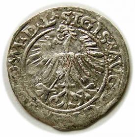 Obrazek 2 dla: Półgrosz 1563 Zygmunt II August Wilno
