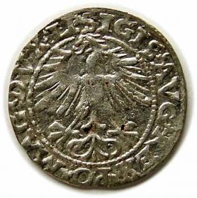 Obrazek 2 dla: Półgrosz 1563 Zygmunt II August Wilno