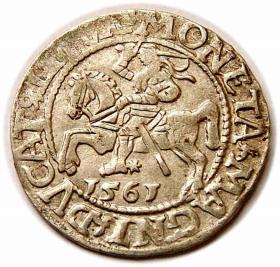 Obrazek dla: Półgrosz 1561 Zygmunt II August Wilno