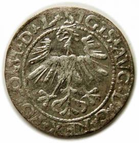 Obrazek 2 dla: Półgrosz 1564 Zygmunt II August Wilno