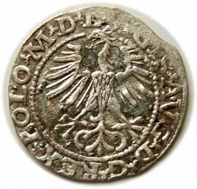 Obrazek 2 dla: Półgrosz 1564 Zygmunt II August Wilno