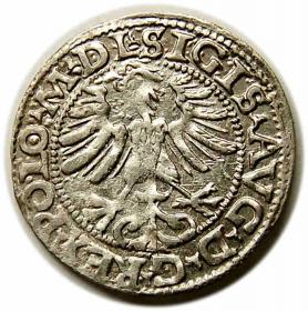 Obrazek 2 dla: Półgrosz 1565 Zygmunt II August Wilno