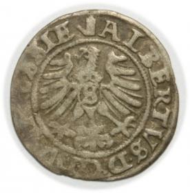 Obrazek 2 dla: Szeląg 1557 Albrecht Hohenzollern Księstwo Pruskie Królewiec