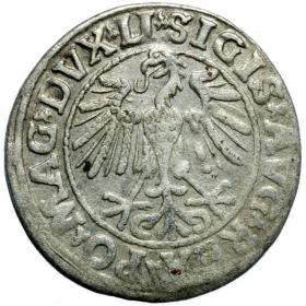 Obrazek 2 dla: Półgrosz 1547 Zygmunt II August Wilno