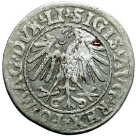 Obrazek 2 dla: Półgrosz 1547 Zygmunt II August Wilno