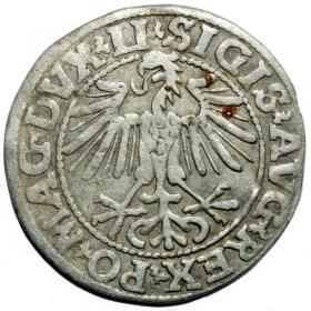 Obrazek 2 dla: Półgrosz 1549 Zygmunt II August Wilno