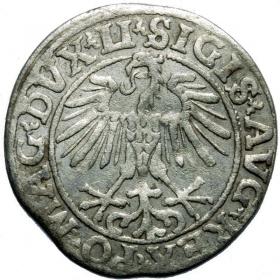 Obrazek 2 dla: Półgrosz 1551 Zygmunt II August Wilno