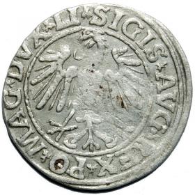 Obrazek 2 dla: Półgrosz 1547 Zygmunt II August Wilno