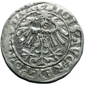 Obrazek 2 dla: Półgrosz 1557 Zygmunt II August Wilno