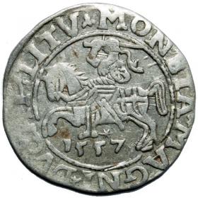 Obrazek dla: Półgrosz 1557 Zygmunt II August Wilno