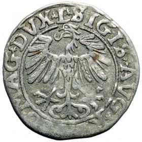 Obrazek 2 dla: Półgrosz 1557 Zygmunt II August Wilno