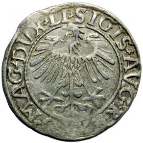 Obrazek 2 dla: Półgrosz 1557 Zygmunt II August Wilno