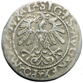 Obrazek 2 dla: Półgrosz 1559 Zygmunt II August Wilno