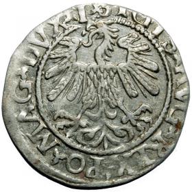 Obrazek 2 dla: Półgrosz 1559 Zygmunt II August Wilno