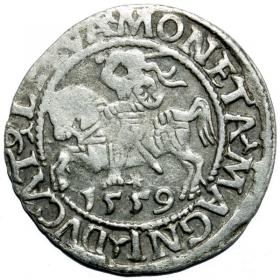Obrazek dla: Półgrosz 1559 Zygmunt II August Wilno