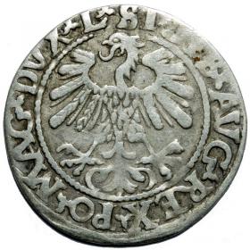 Obrazek 2 dla: Półgrosz 1559 Zygmunt II August Wilno