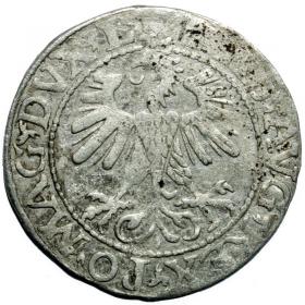 Obrazek 2 dla: Półgrosz 1560 Zygmunt II August Wilno