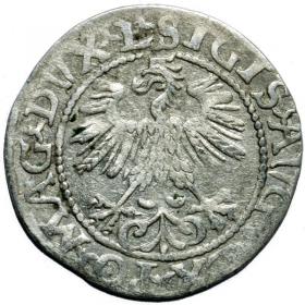 Obrazek 2 dla: Półgrosz 1560 Zygmunt II August Wilno