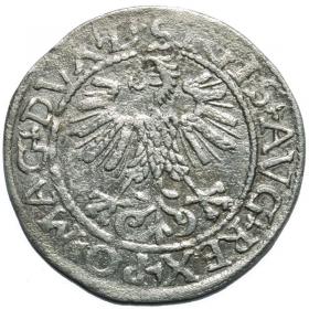 Obrazek 2 dla: Półgrosz 1561 Zygmunt II August Wilno