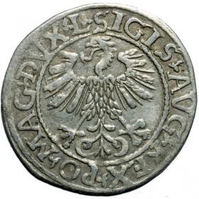Obrazek 2 dla: Półgrosz 1561 Zygmunt II August Wilno
