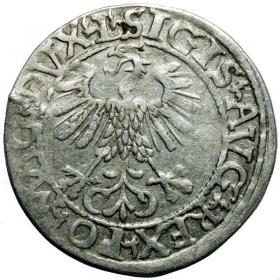 Obrazek 2 dla: Półgrosz 1561 Zygmunt II August Wilno
