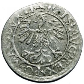 Obrazek 2 dla: Półgrosz 1561 Zygmunt II August Wilno