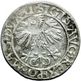 Obrazek 2 dla: Półgrosz 1561 Zygmunt II August Wilno