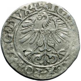 Obrazek 2 dla: Półgrosz 1561 Zygmunt II August Wilno