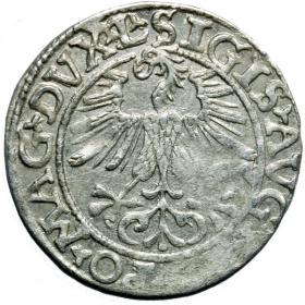 Obrazek 2 dla: Półgrosz 1561 Zygmunt II August Wilno