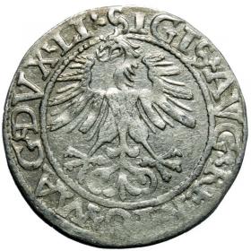Obrazek 2 dla: Półgrosz 1562 Zygmunt II August Wilno