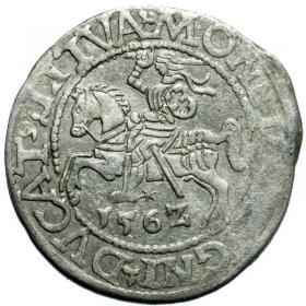 Obrazek dla: Półgrosz 1562 Zygmunt II August Wilno