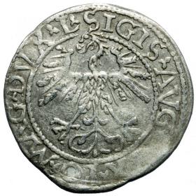 Obrazek 2 dla: Półgrosz 1562 Zygmunt II August Wilno