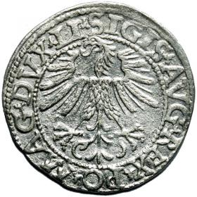 Obrazek 2 dla: Półgrosz 1562 Zygmunt II August Wilno